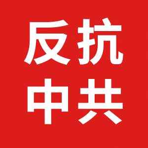 从事环卫工作的大妈称扫大街月薪1400元，大年初一还要工作-中国照相馆